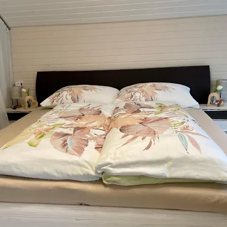 Mountainview Scheurer * Jenig