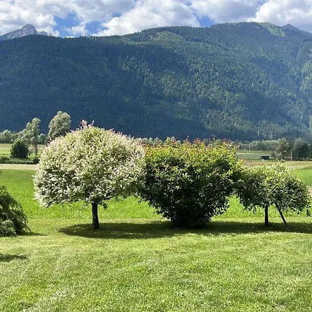 Mountainview Scheurer Jenig