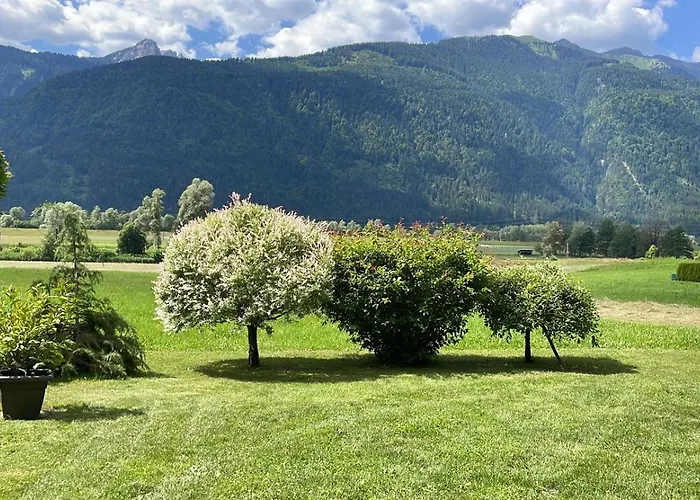 Mountainview Scheurer Jenig